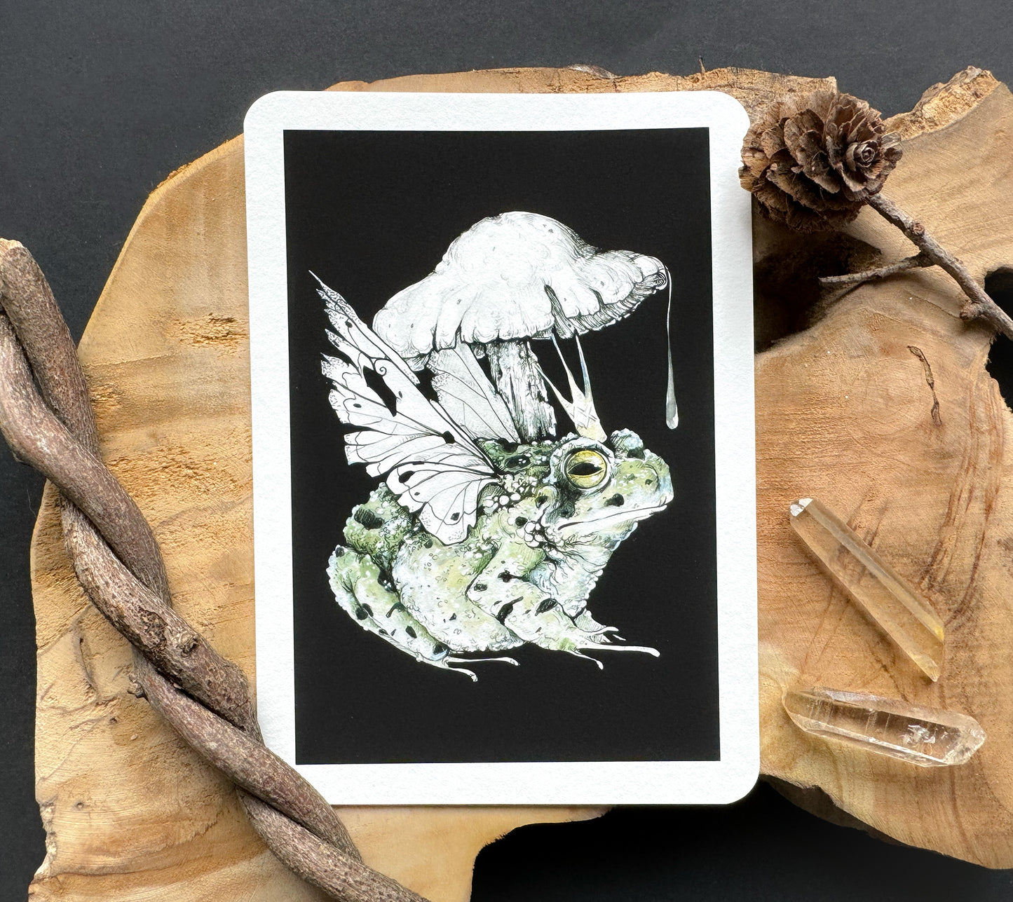 Froschkönig, Kröte, Märchen Illustration