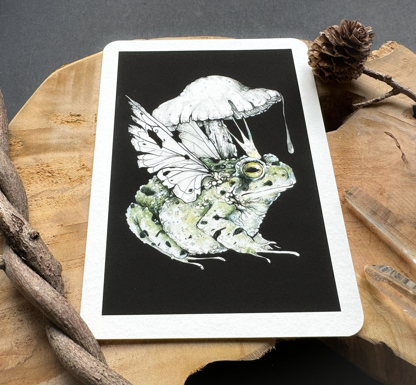 Froschkönig, Kröte, Märchen Illustration