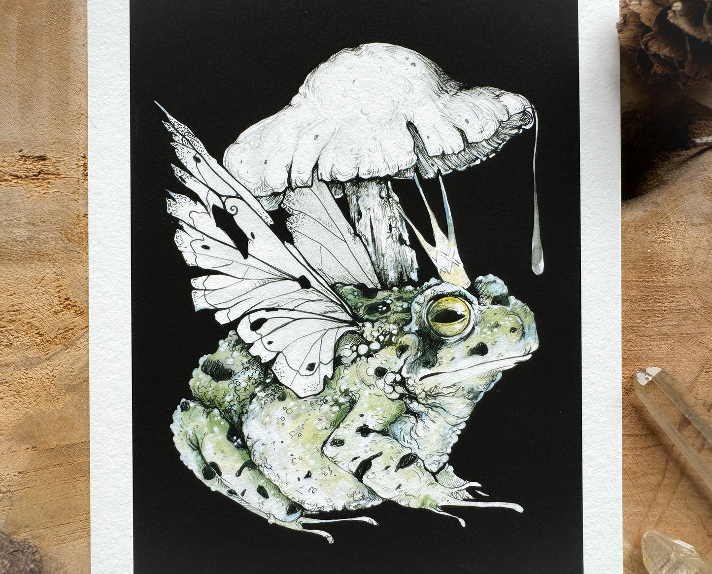 Froschkönig, Kröte, Märchen Illustration