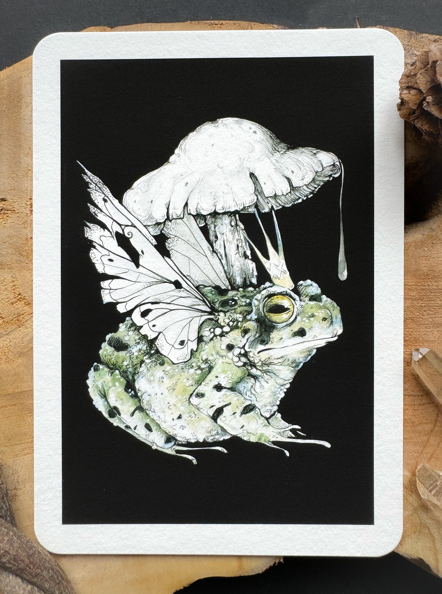 Froschkönig, Kröte, Märchen Illustration