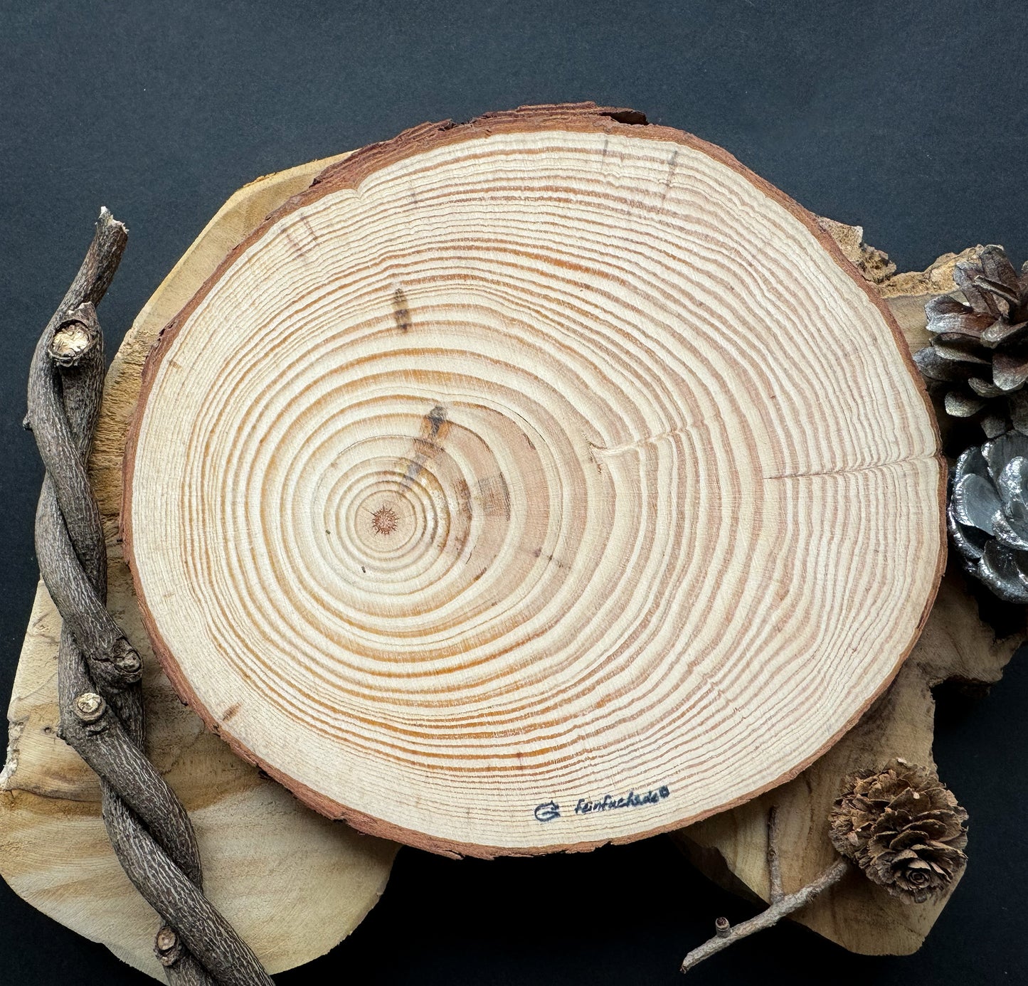 Handbemalte Holzscheibe Dachs mit Laterne