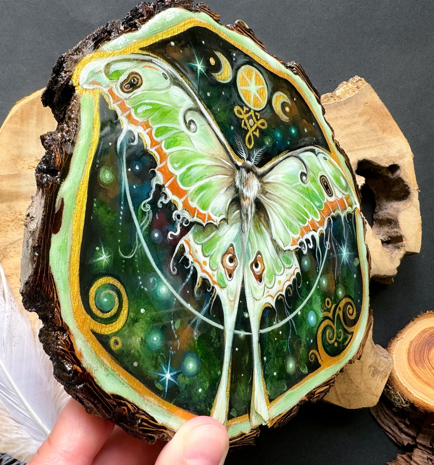 Motte, Schmetterling, handbemalte Holzscheibe