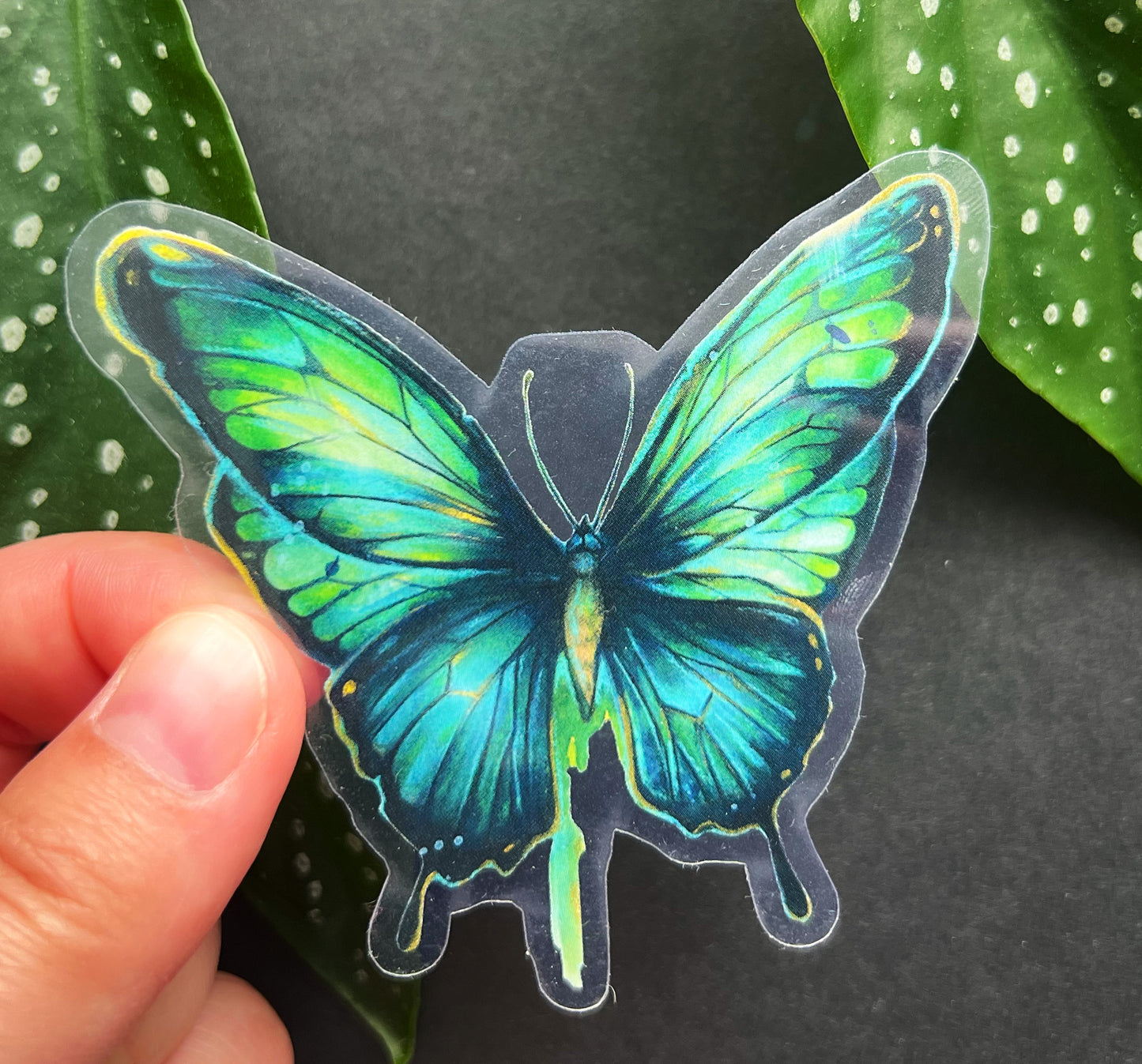 Transparenter Sticker blau-grüner Schmetterling