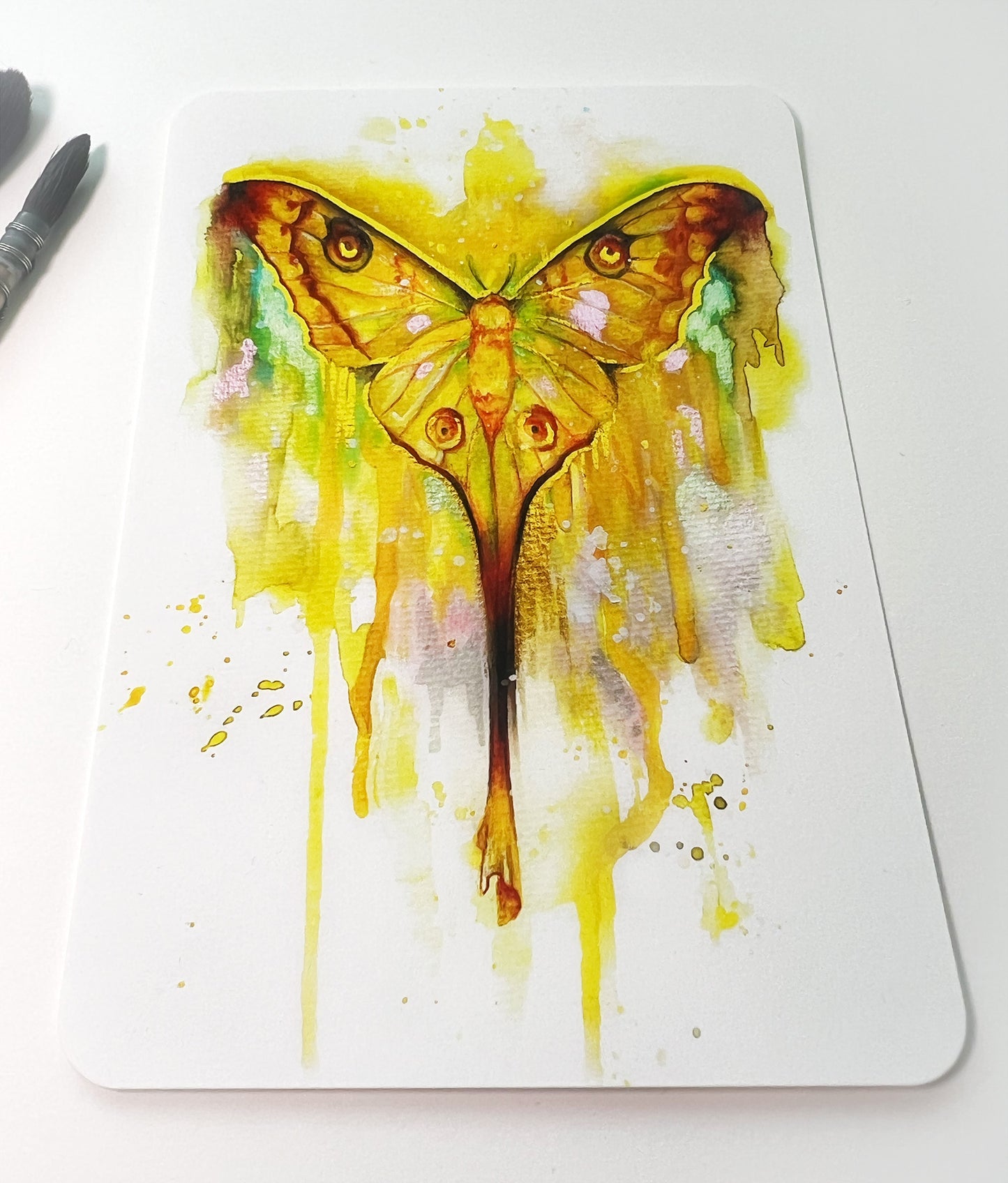 Schmetterlinge 2er Set, Kunstkarten, Grußkarten, Aquarell