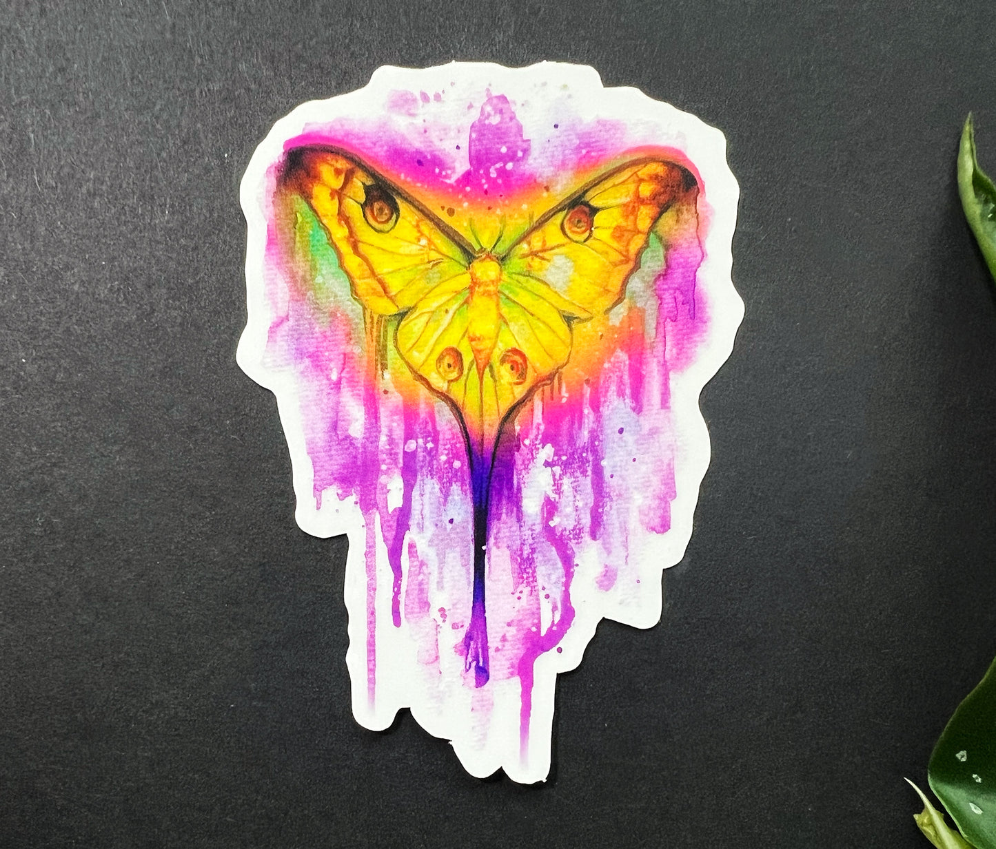 Sticker transparent pinker Schmetterling