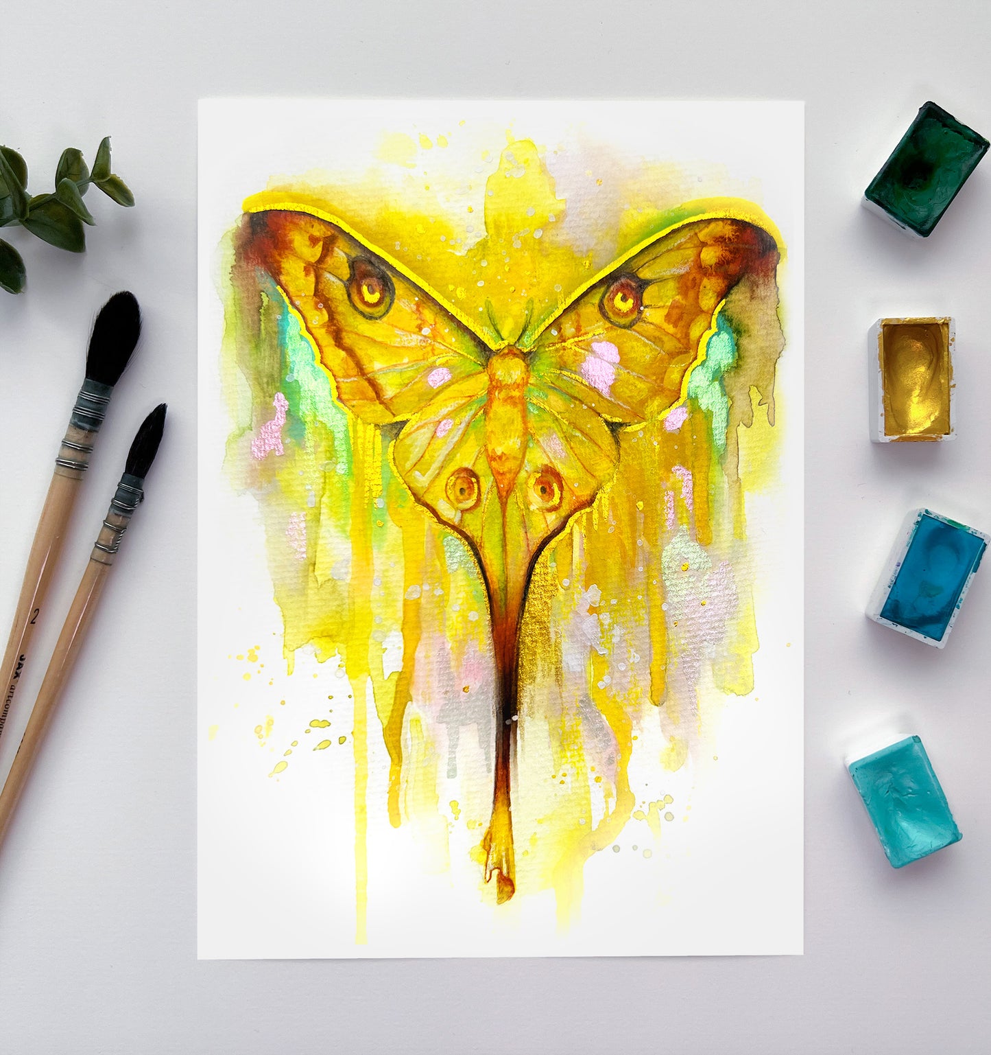 Schmetterling Wandbild, Aquarellkunst, Kunstdruck